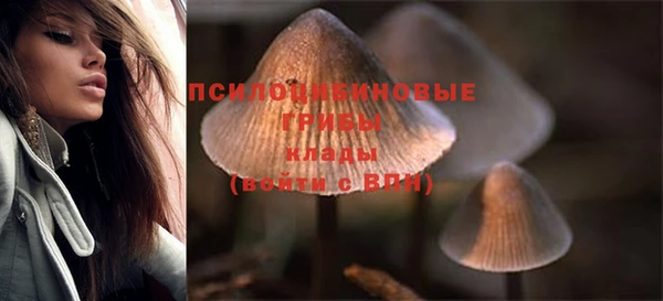 стаф Алексеевка