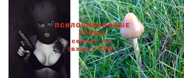 стаф Алексеевка