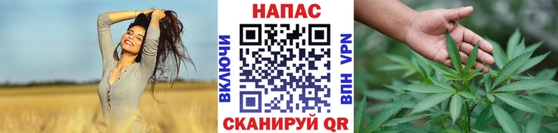 где продают наркотики Кирс Канабис план